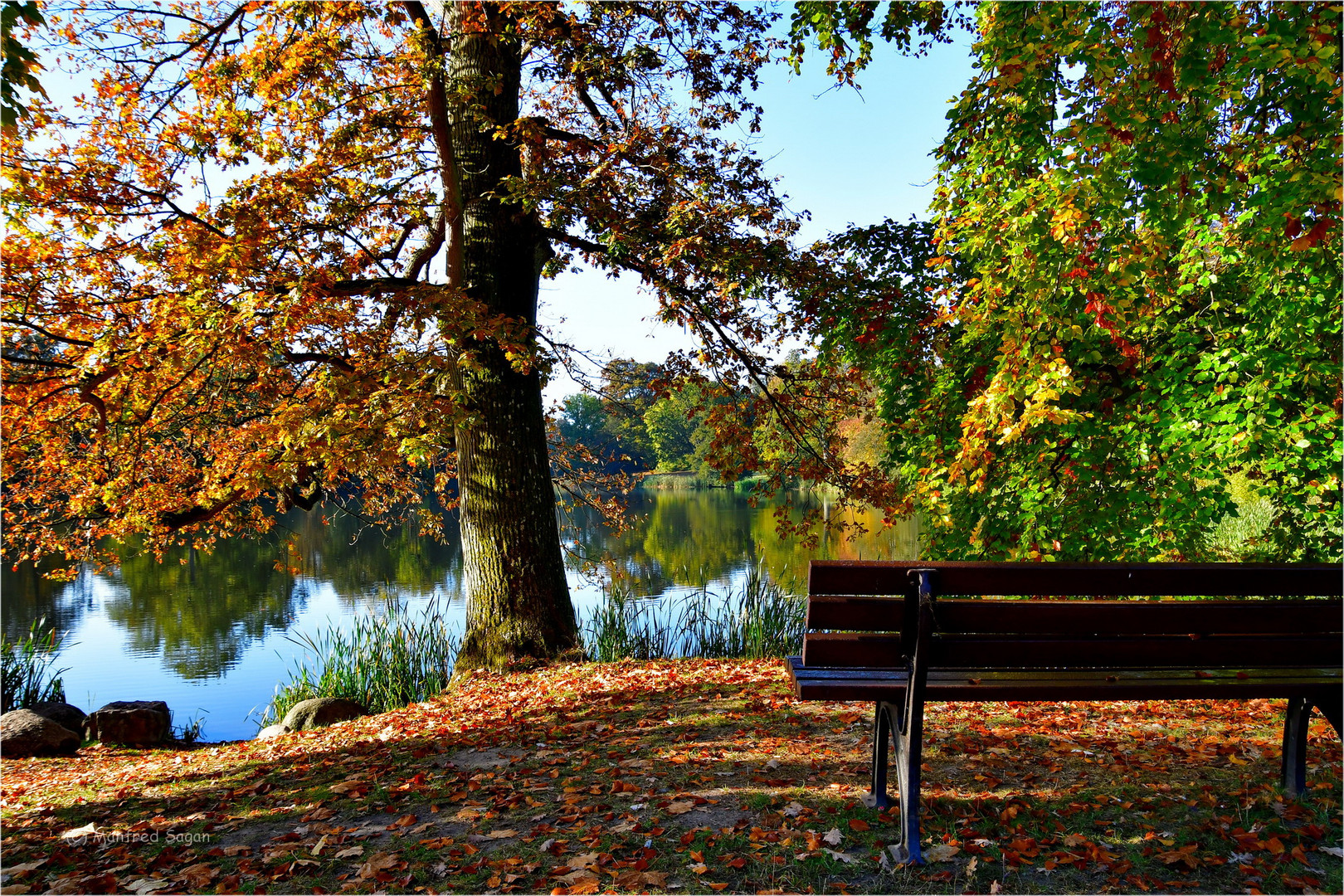 Ein Platz im Herbstparadies...