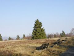 Ein Platz in der Natur