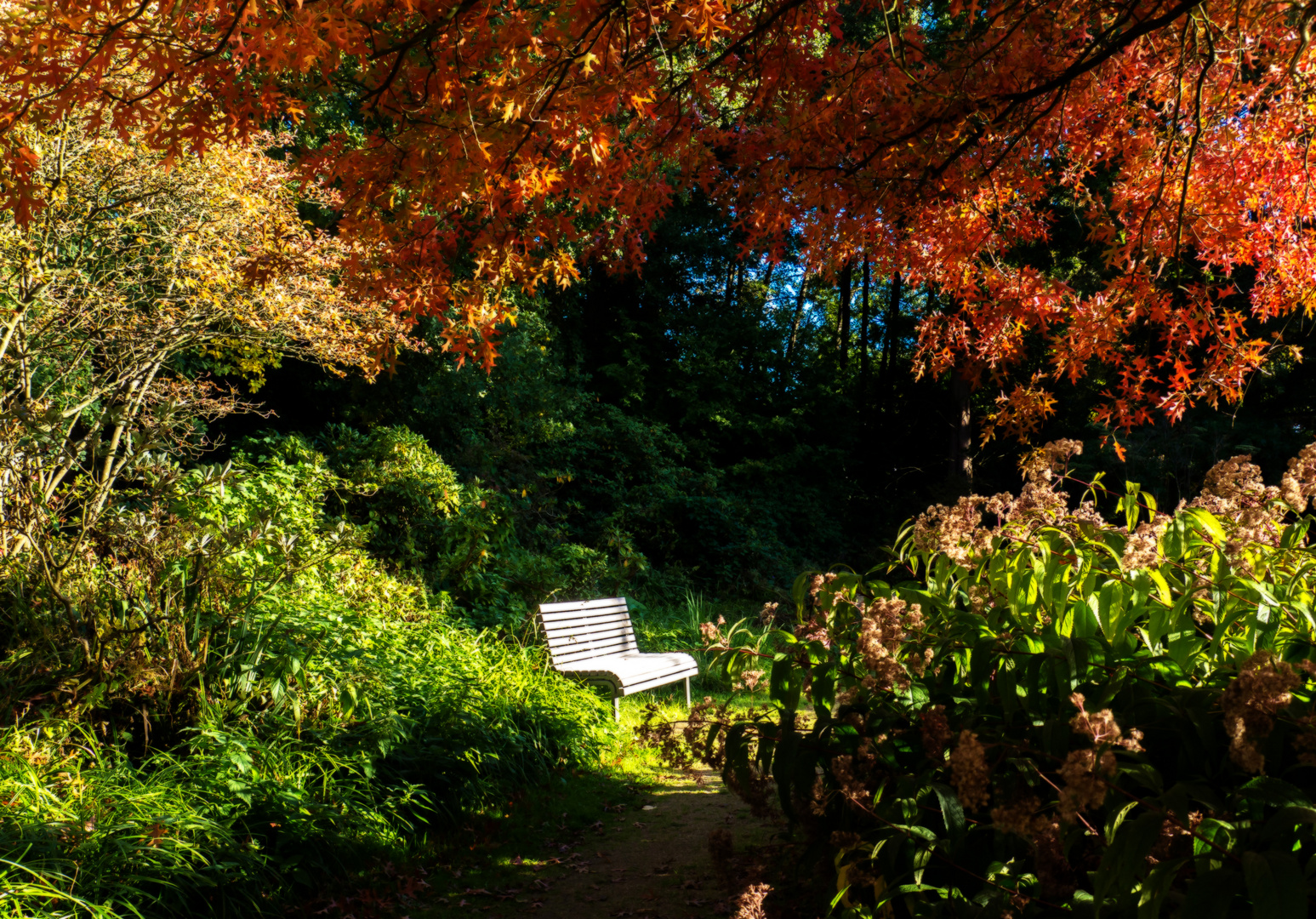 Ein Platz in der Sonne