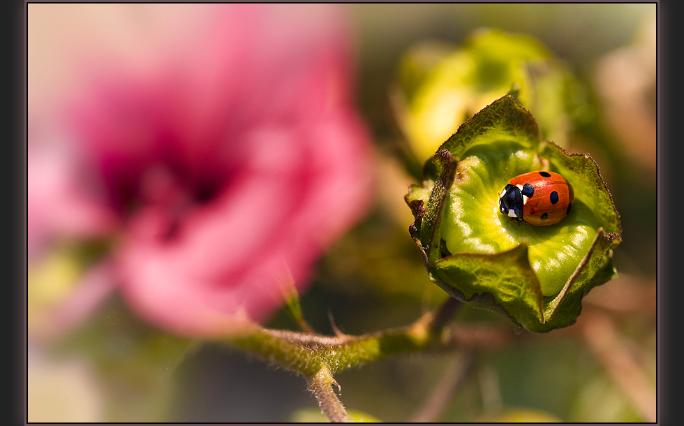 ein Platz in der Sonne