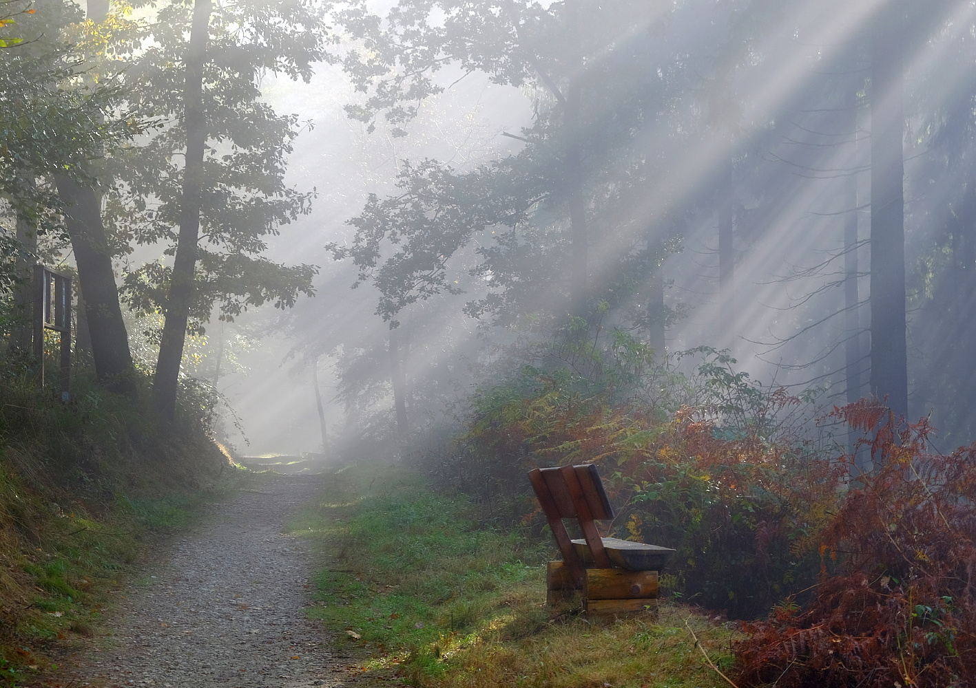 Ein Platz zum Träumen