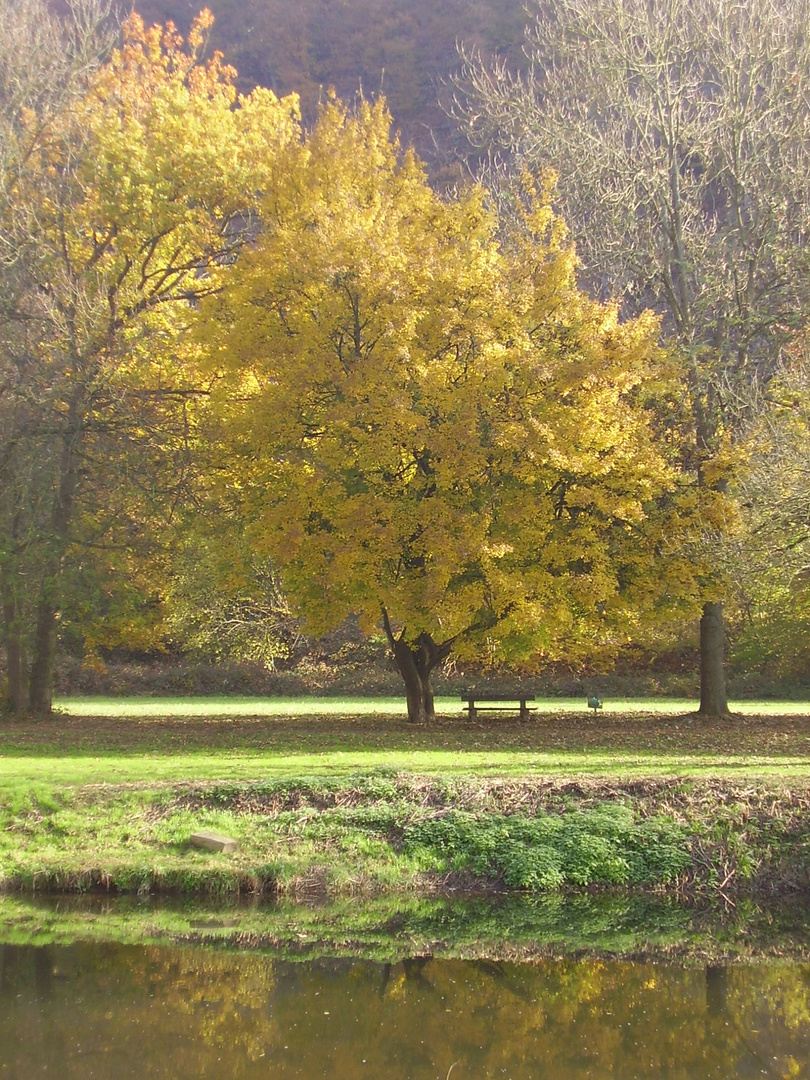 Ein Platz zum Verweilen