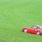 Ein Porsche steht im Grünen - ganz still und stumm.