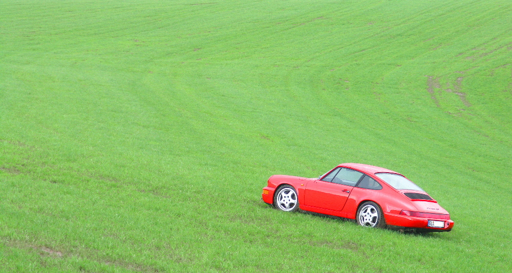 Ein Porsche steht im Grünen - ganz still und stumm.