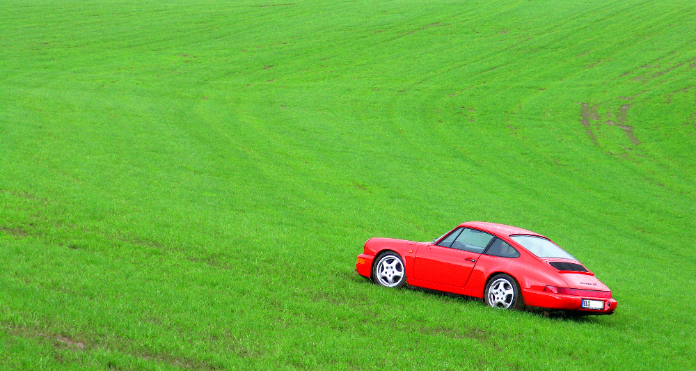 Ein Porsche steht im Grünen - ganz still und stumm. von Michael Andreas Heine 