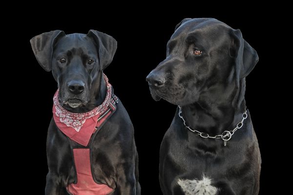 Ein Portrait von Mona & Max