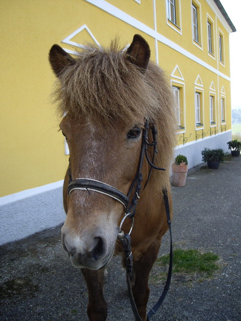 Ein Portrait von Sunna