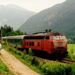 Ein Preiserlein-Paar in Natura