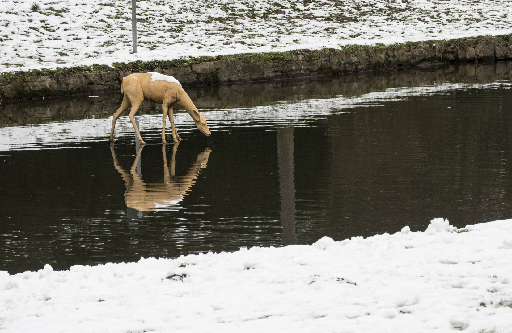 Ein prominenter Wiesbadener