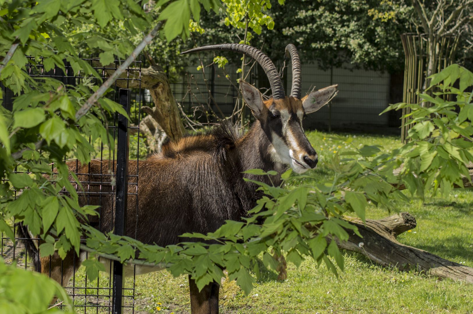 Ein prüfender Blick