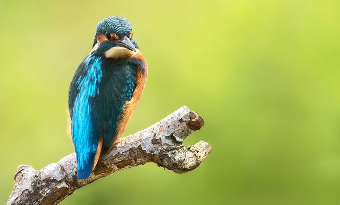 Ein prüfender Blick