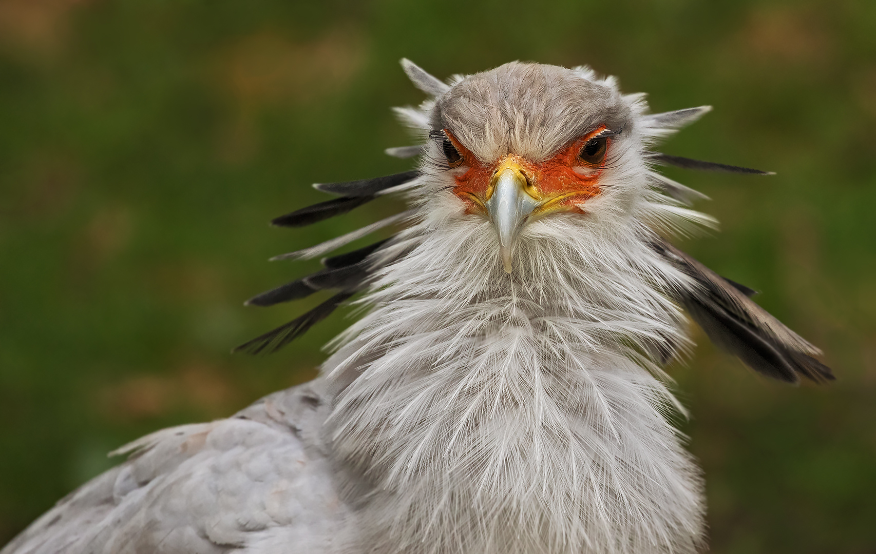 Ein prüfender Blick