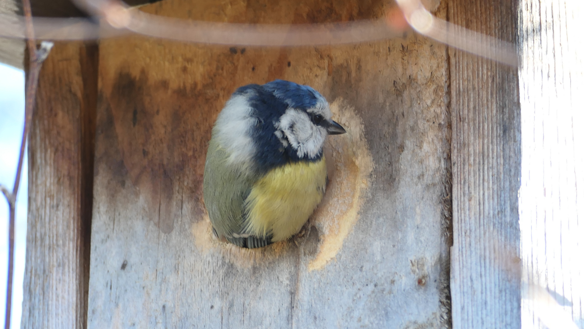 Ein Quarantänenfoto aus dem eigenen Garten