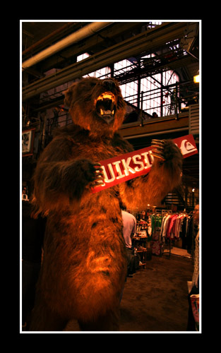 ein Quicksilver Grizzlybär :-)