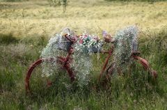 ein Rad am Kornfeld