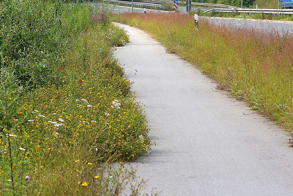 ein Radfahrweg