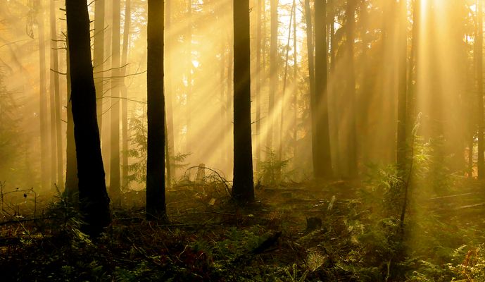 Ein Radnetz im Lichtspot