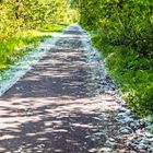 ein Radweg aber kein Schnee am Rand