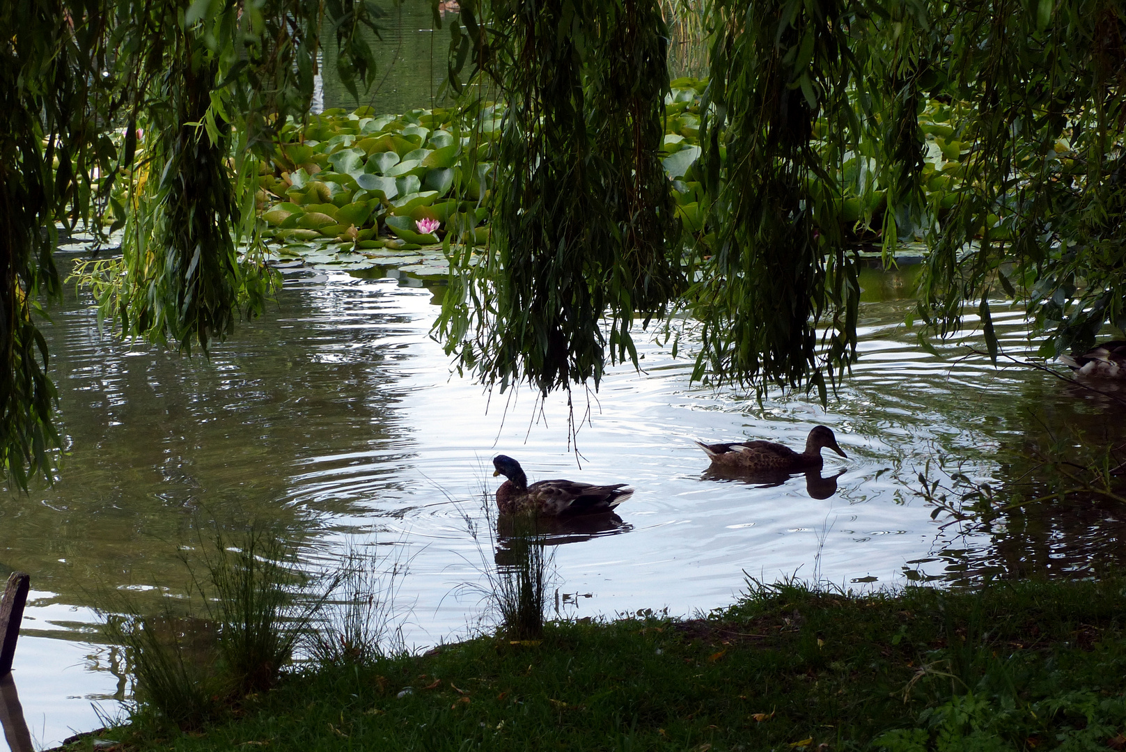 Ein Rastplatz am Teich