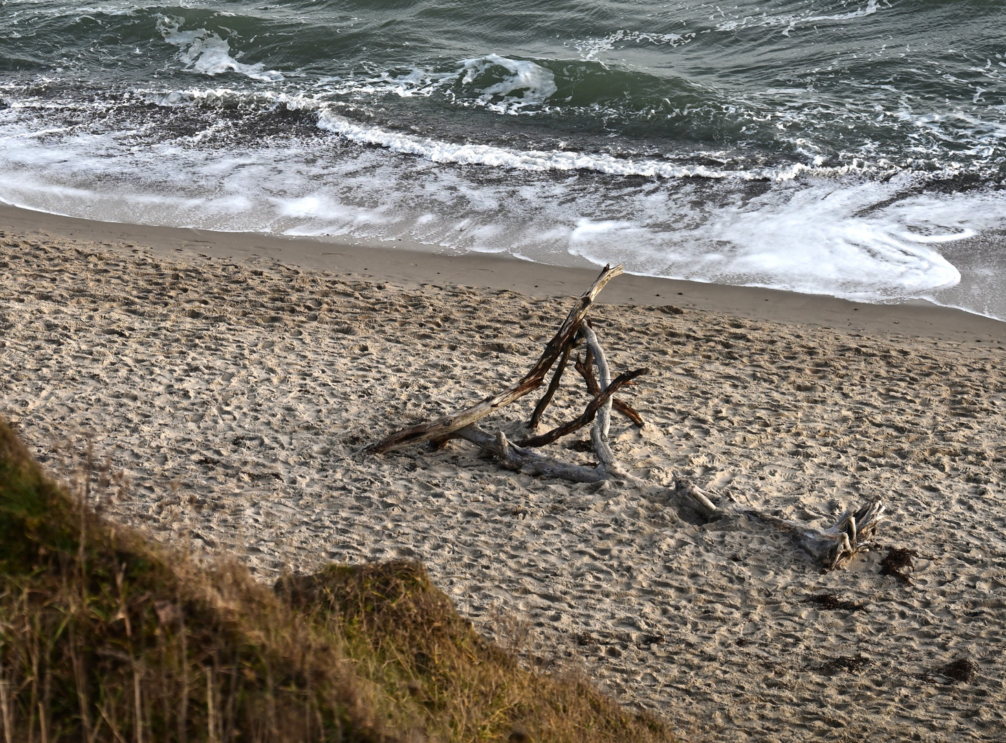 ... Ein Rastplatz an der Steilküste von Ahrenshoop ...