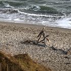 ... Ein Rastplatz an der Steilküste von Ahrenshoop ...