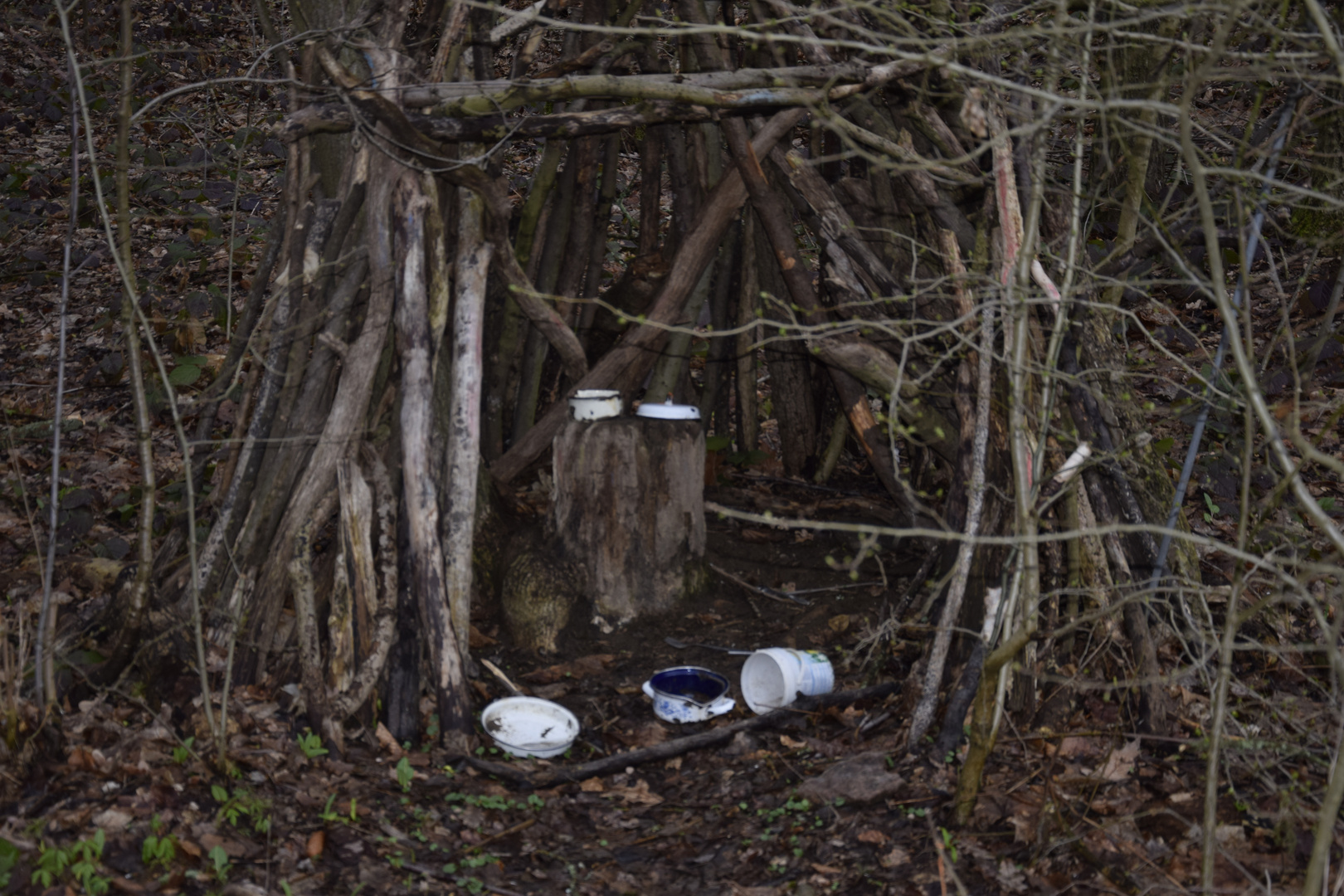 Ein Raumwohnung im Wald entdeckt