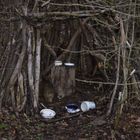 Ein Raumwohnung im Wald entdeckt