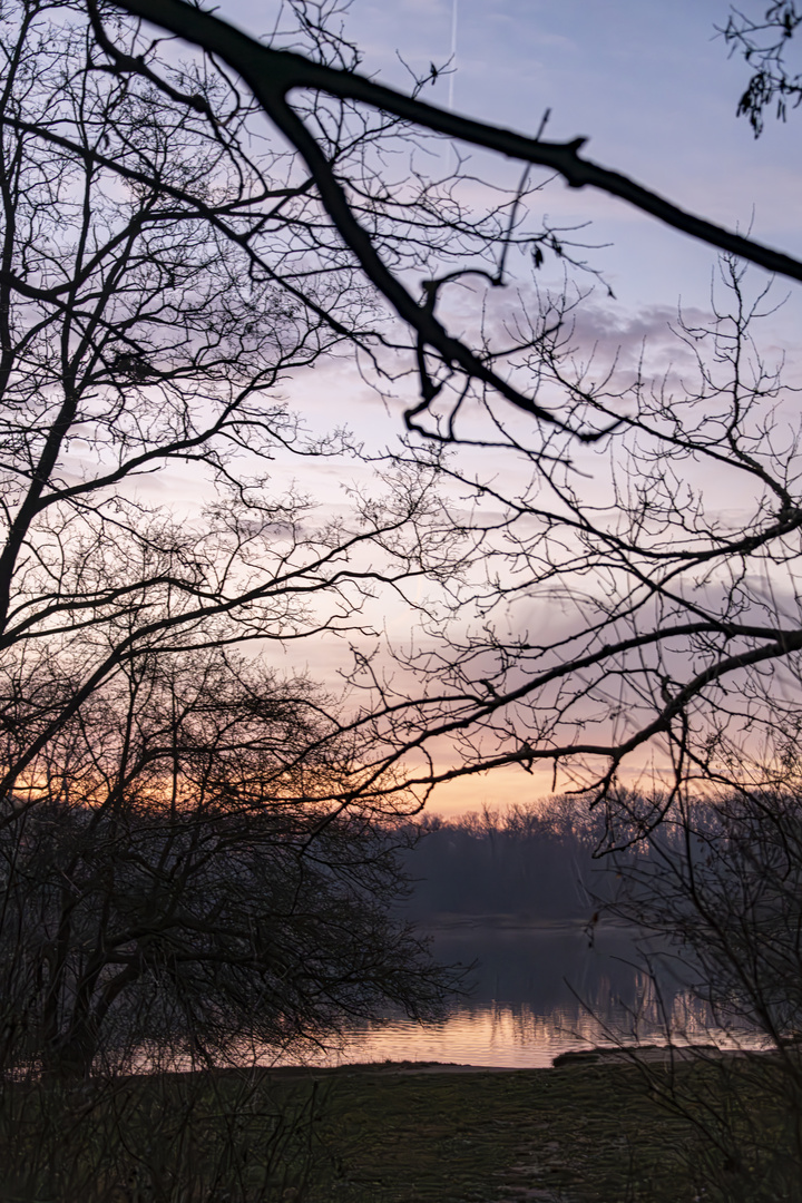 ein real-irrealer Morgenspaziergang 