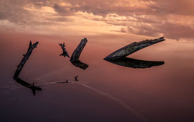 ein real-irrealer Morgenspaziergang 