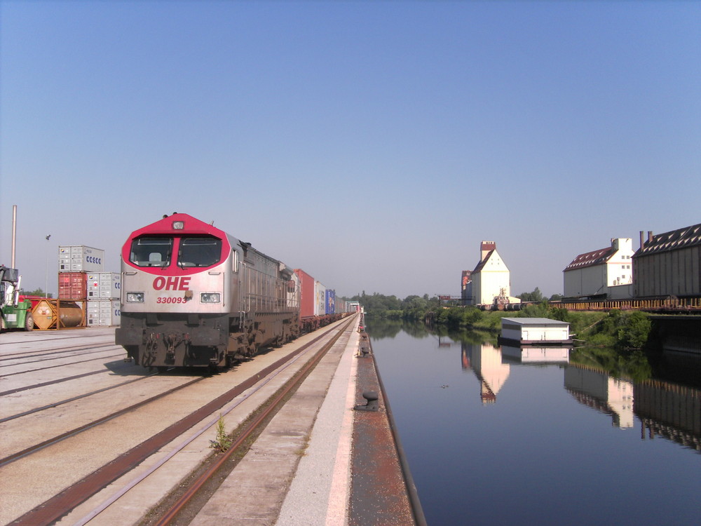 Ein Redtiger im Hafen Halle