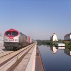 Ein Redtiger im Hafen Halle