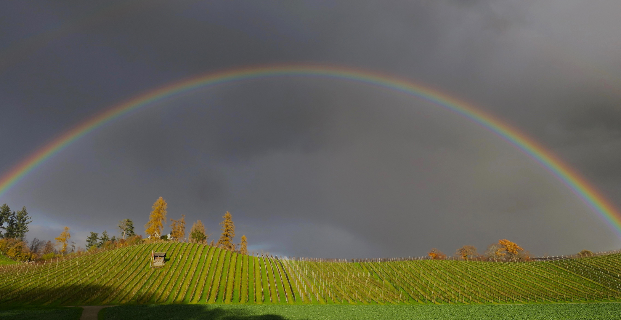 ein Regenbogen 