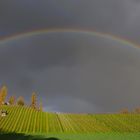 ein Regenbogen 