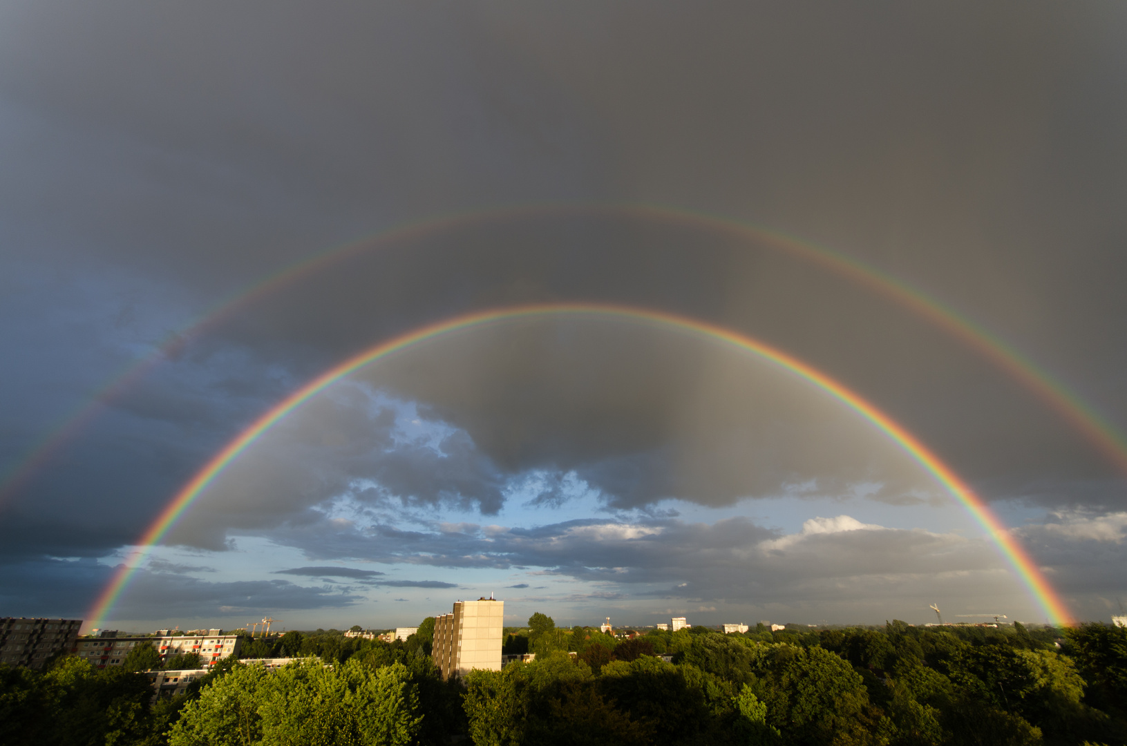 Ein Regenborgen-Tor über Hamburg