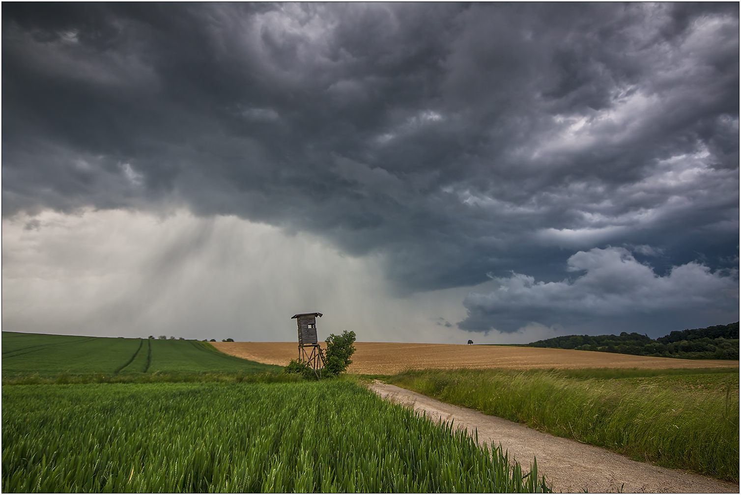 Ein Regenguss