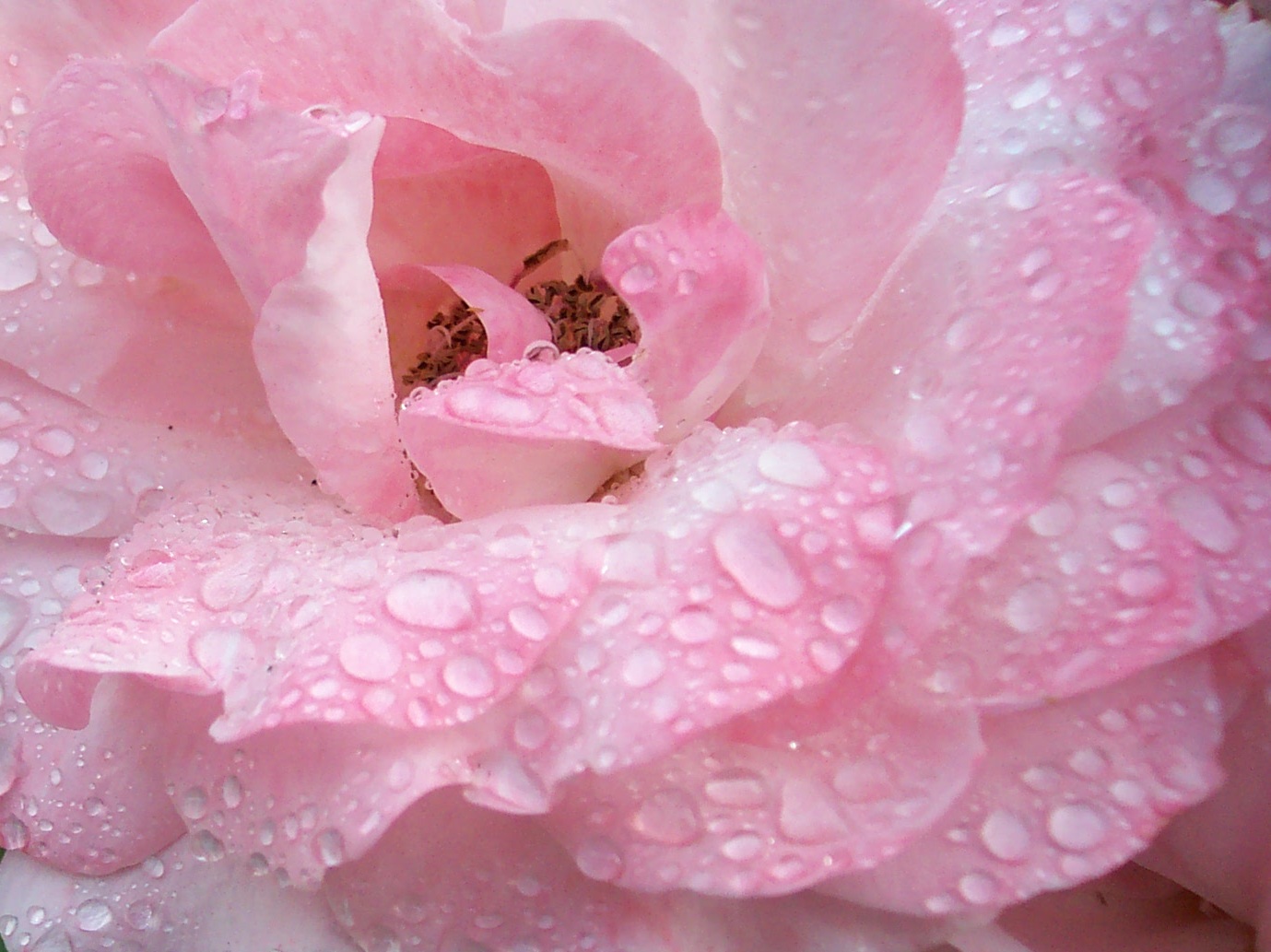 Ein Regenschauer