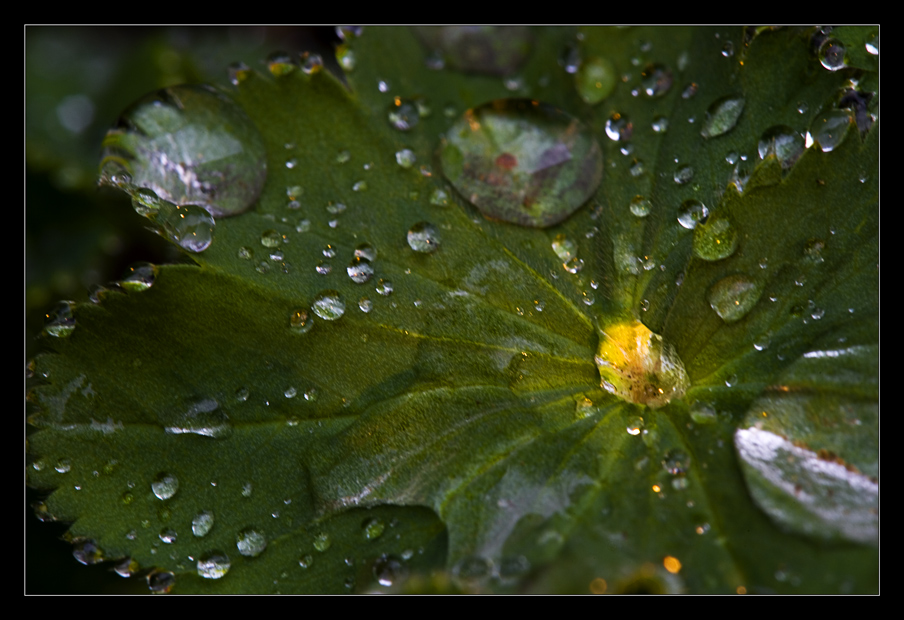 ein Regentag