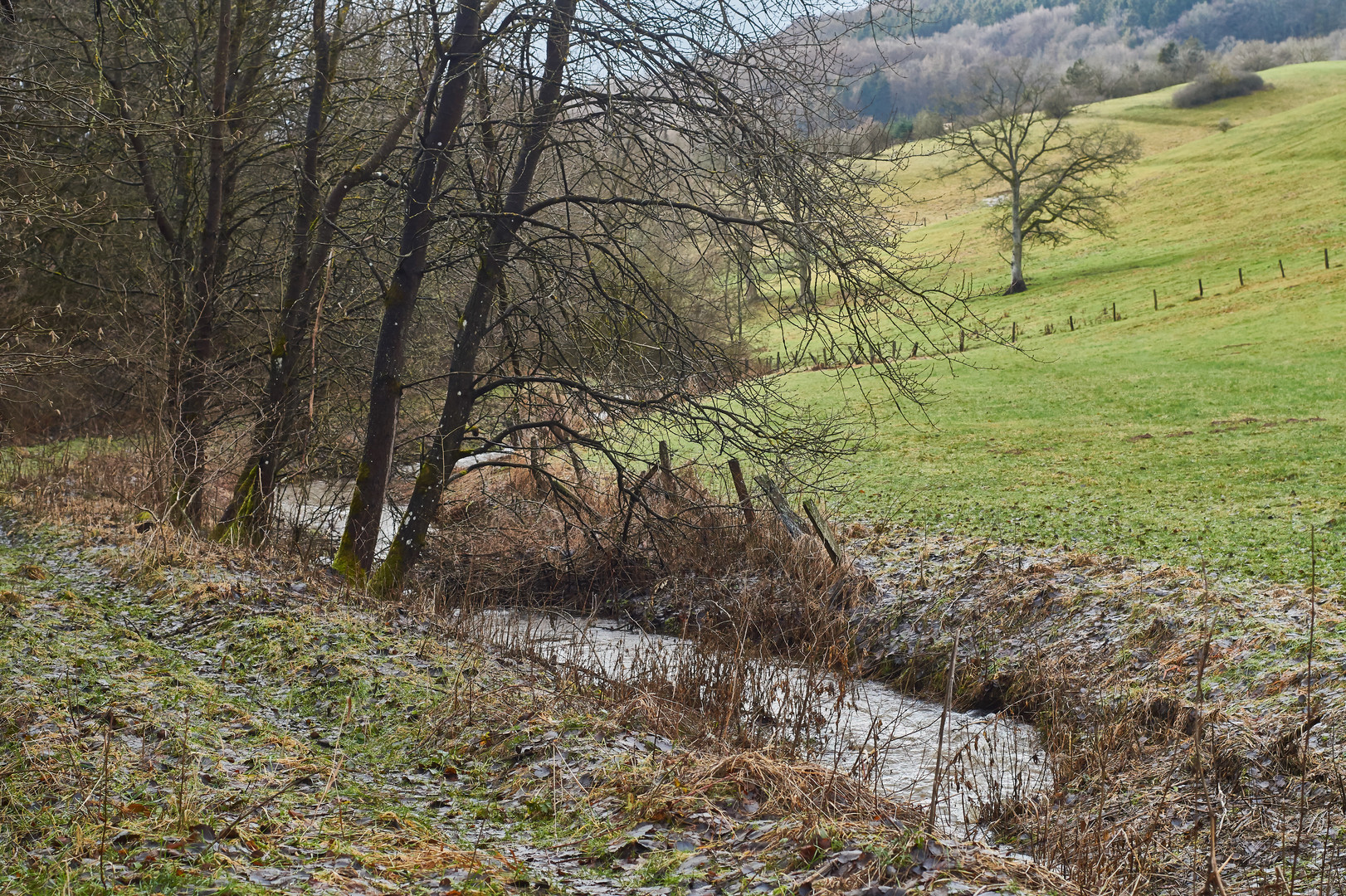 Ein Regentag