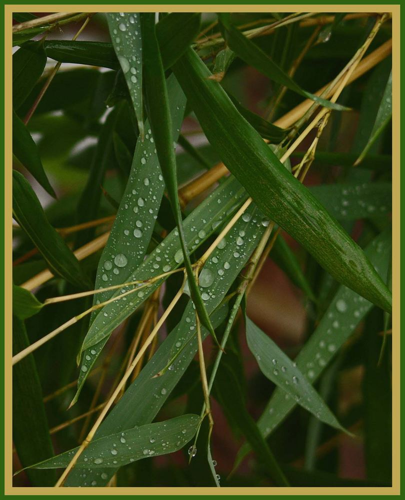 Ein Regentag