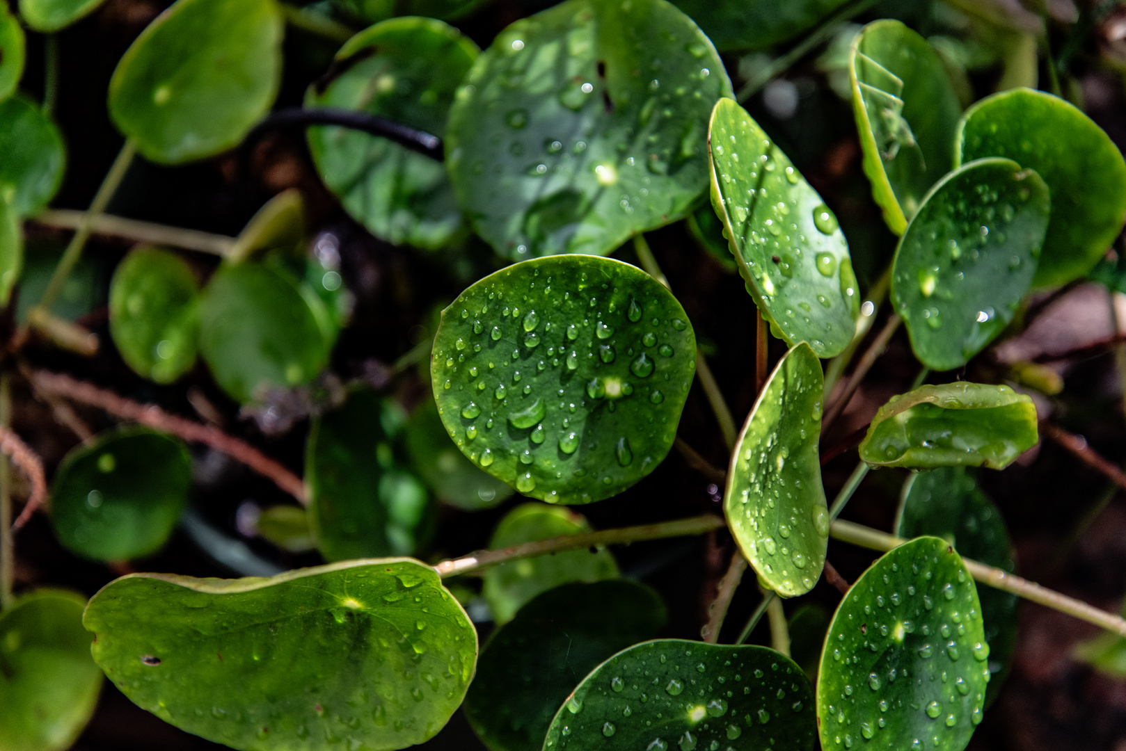 Ein Regentag