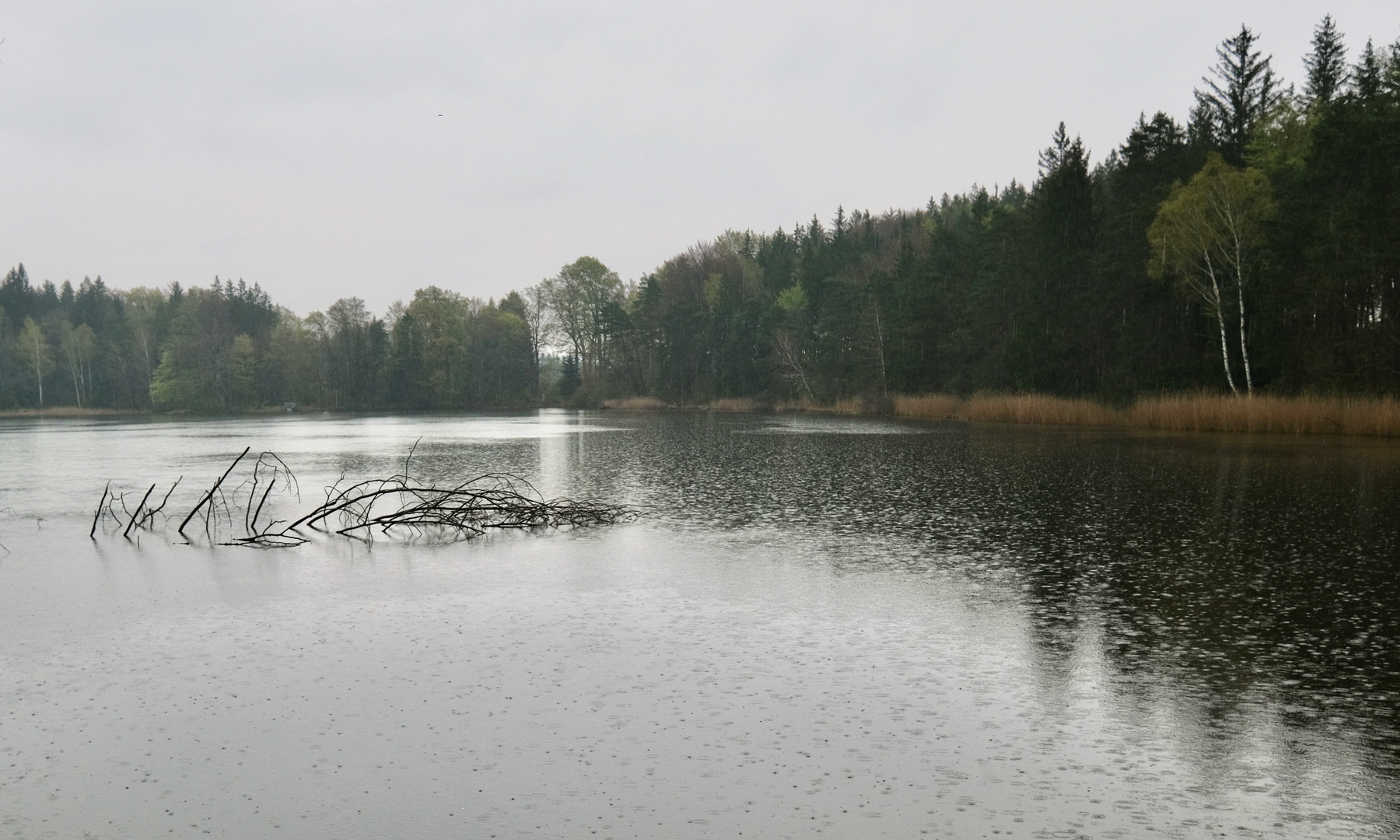 ein Regentag am See