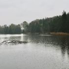 ein Regentag am See