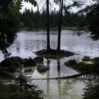 Ein Regentag im Harz