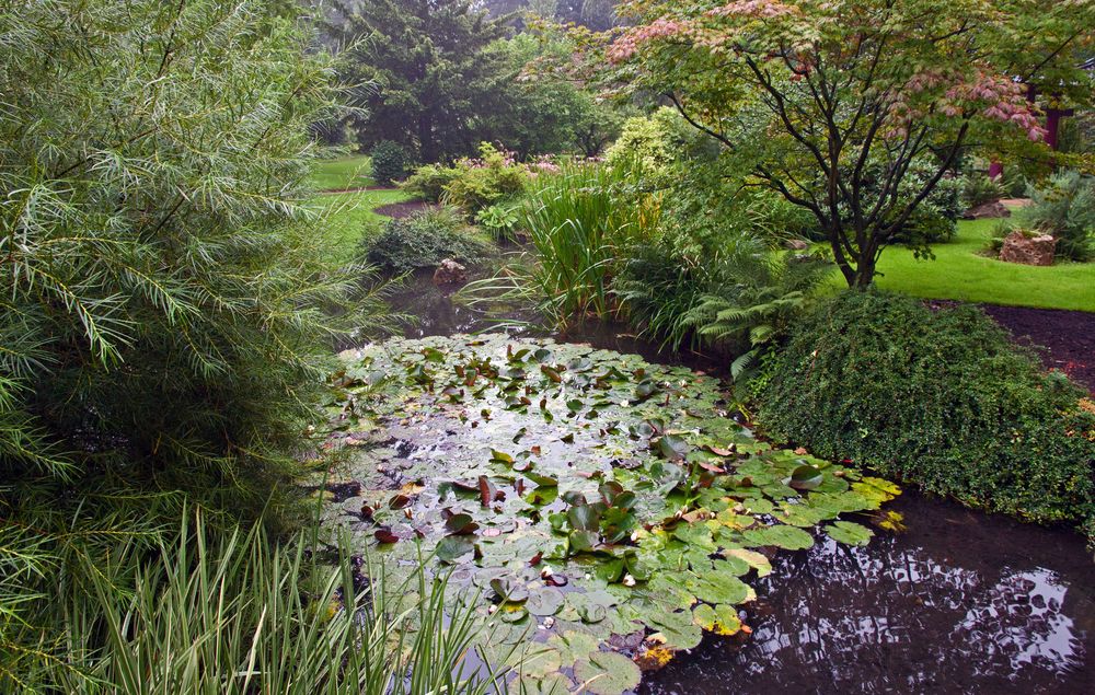 Ein Regentag im Japanischen Garten