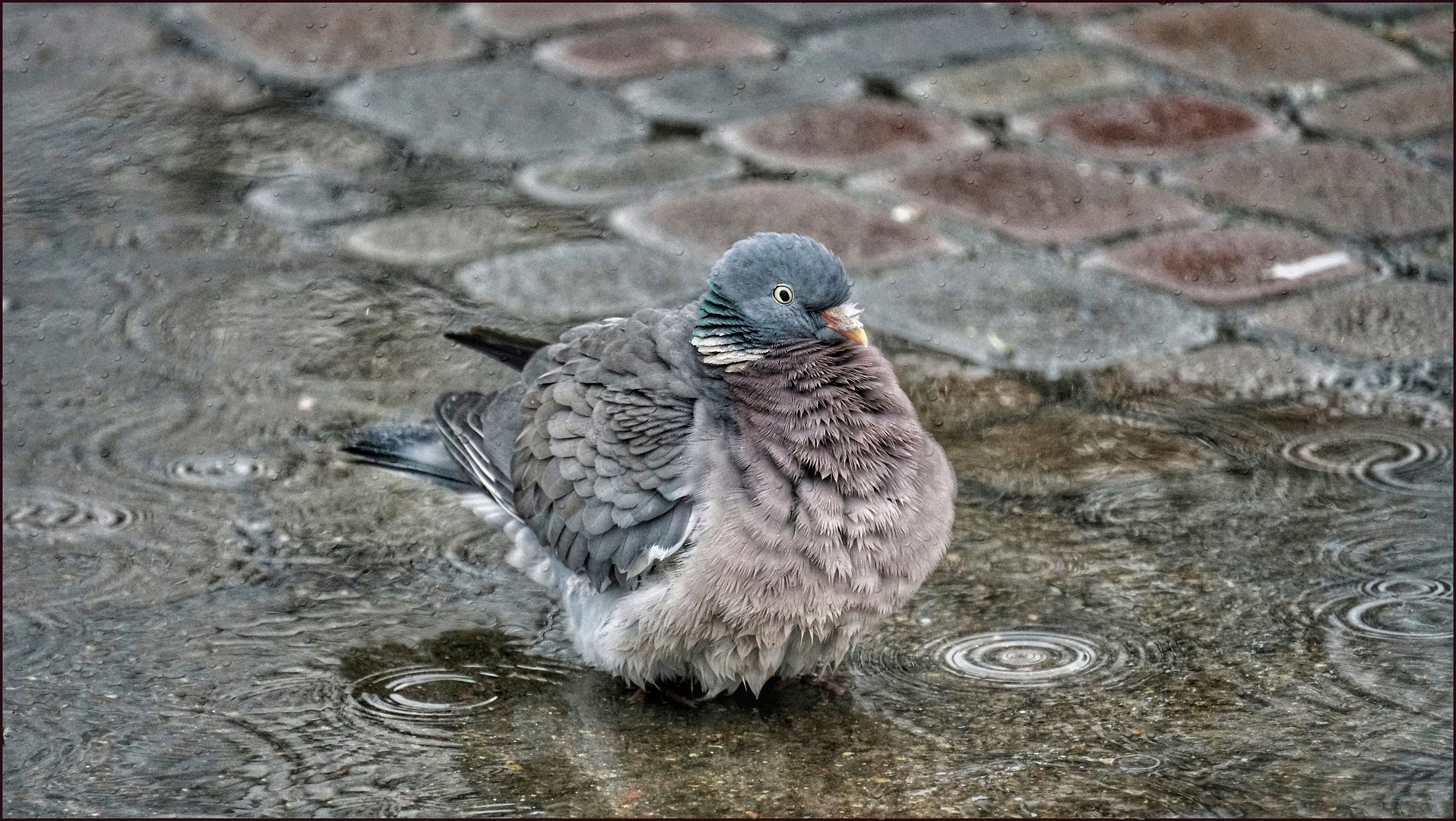 Ein Regentag - ist für mich ein Badetag ....