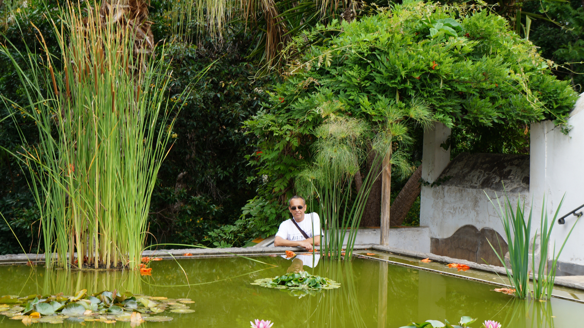 Ein Reisender im Botanischen Garten