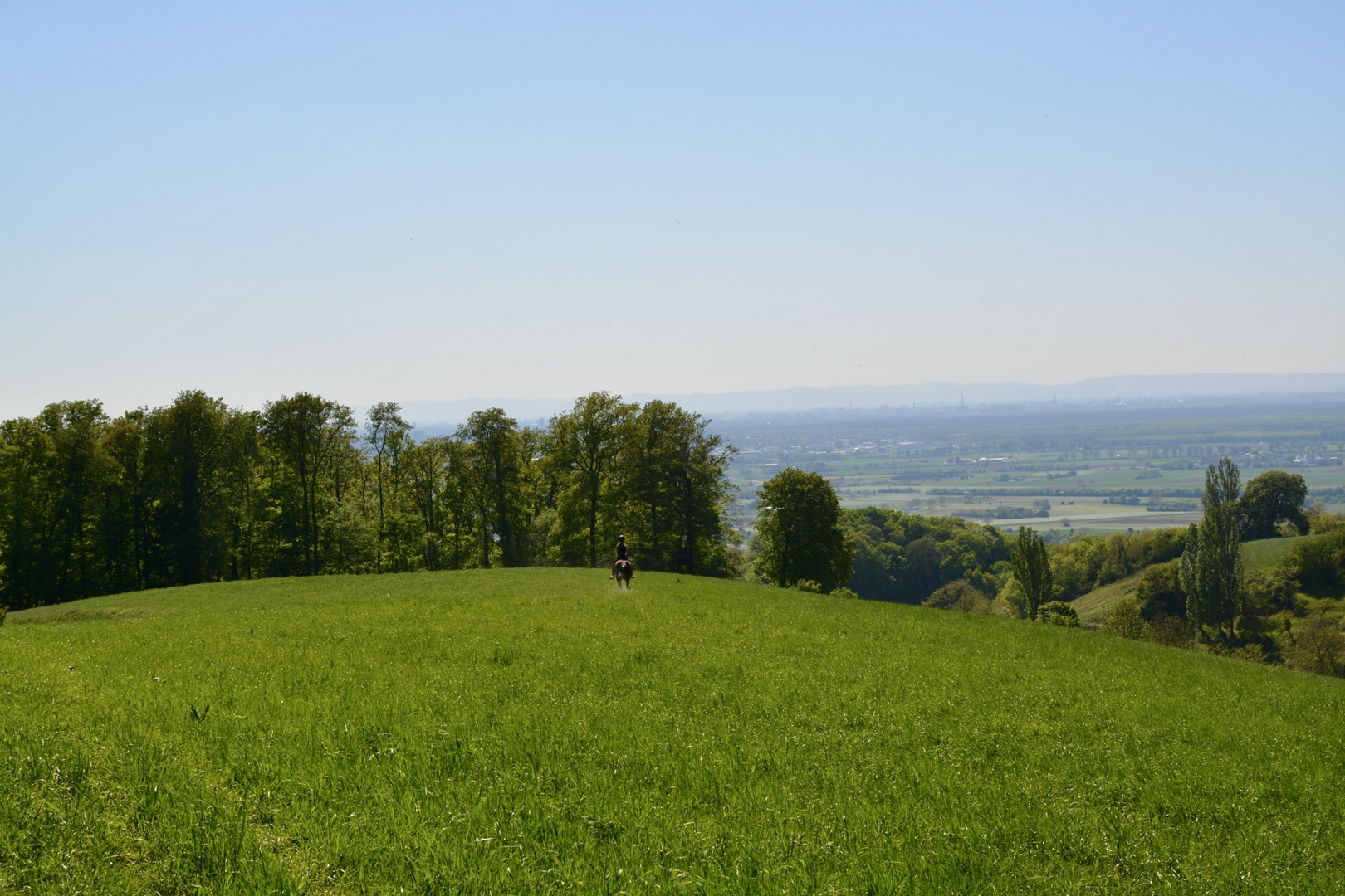 Ein Reiter auf weiter Flur 