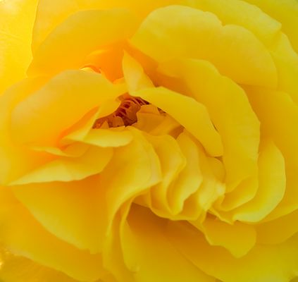 Ein reizendes Wesen...