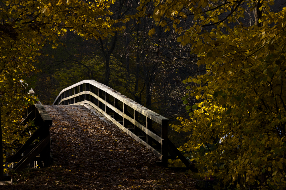 ein Rest Herbst