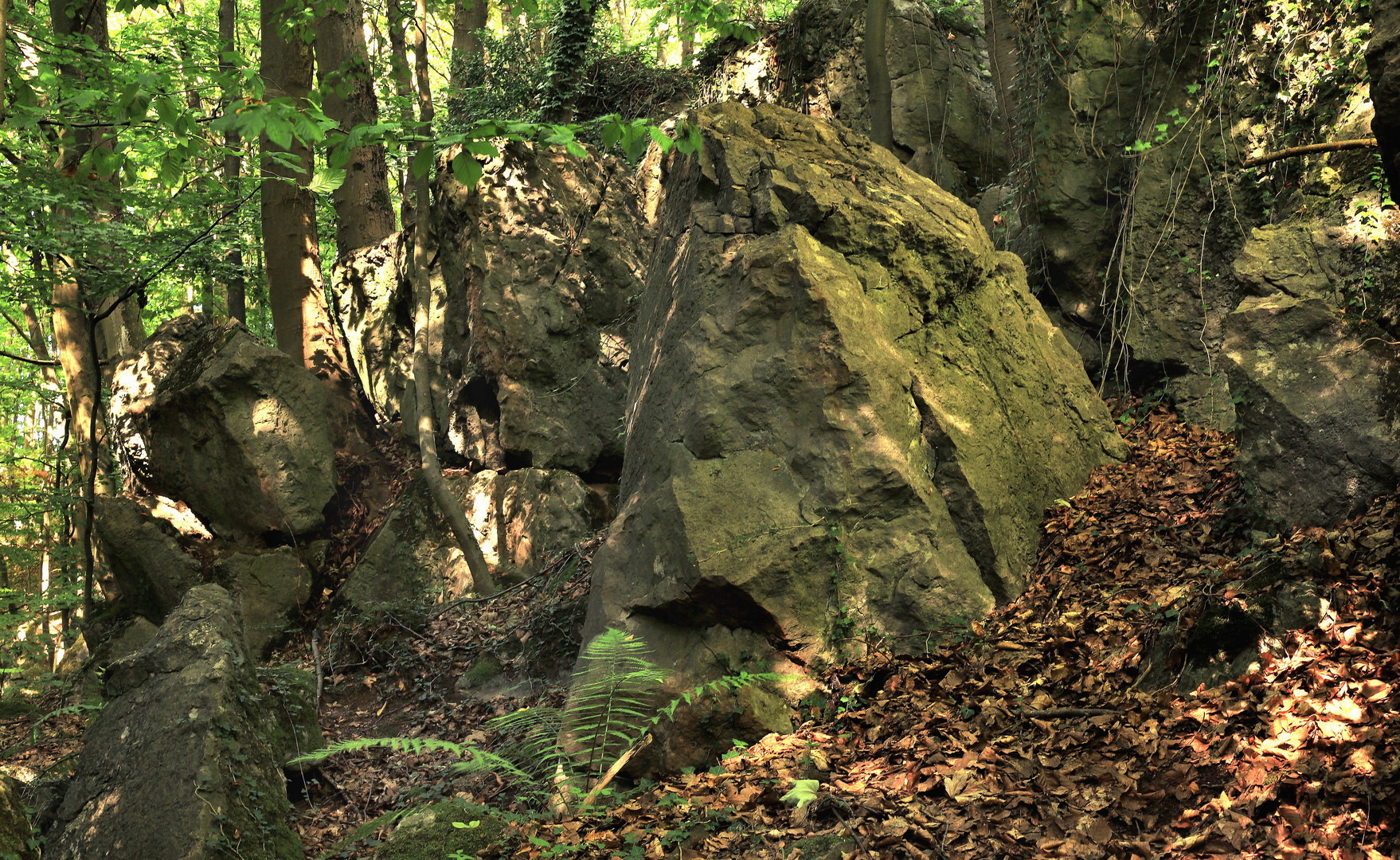 Ein richtig dicker Brocken im Felsenmeer 